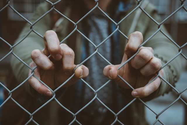 Фото Митчелла Линзинка на Unsplash